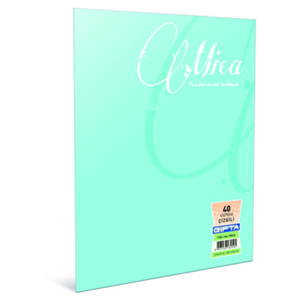 Gıpta Defter (Dikişli ) Mica Plastik Kapak Kareli 100 YP A5 2935