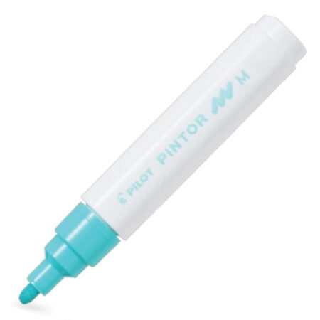 Pilot Pintor (M) Pastel Yeşil Sw-pt-m-pg